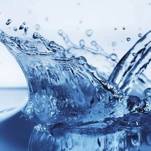 Meet your Posher, Jared